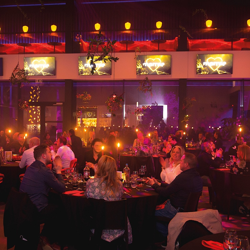 DD2 netwerk network-9