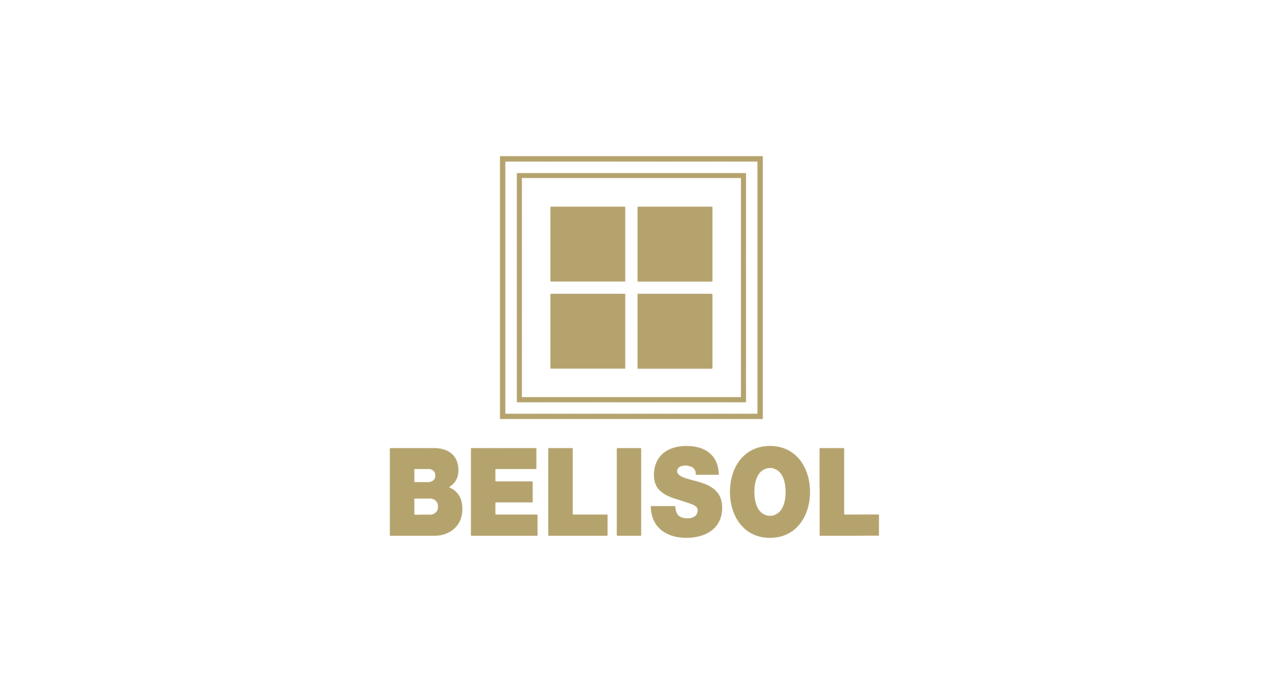 BELISOL