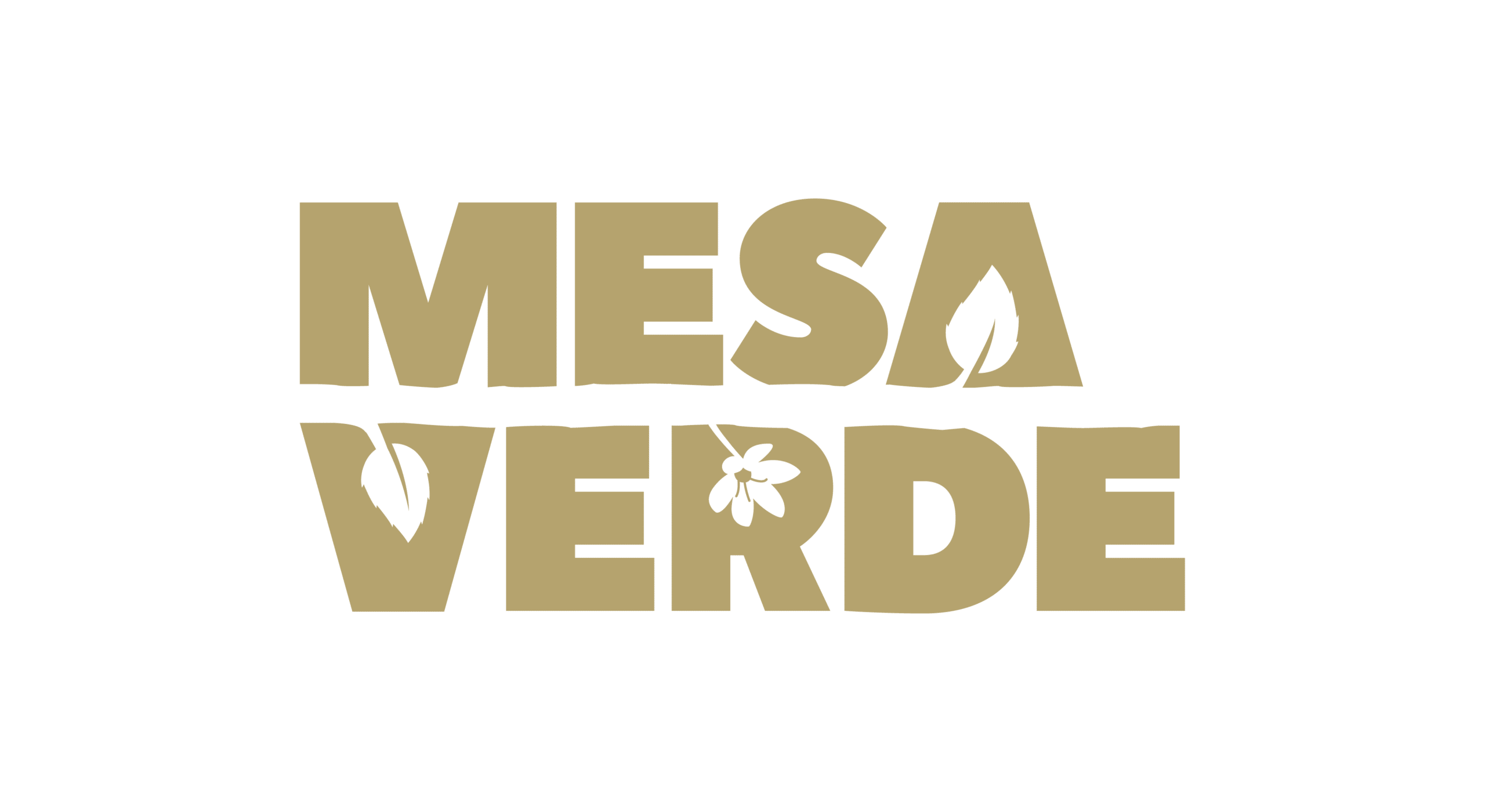 MESAVERDE